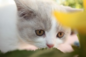 IMG_3614