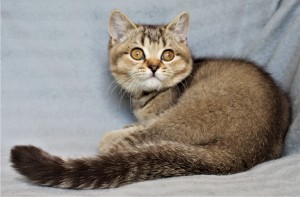IMG_3596