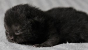 IMG_9809