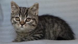 IMG_3366
