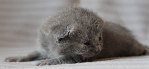 IMG_3898