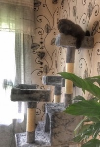 image1(1)