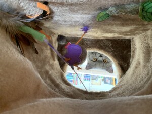 IMG_3015