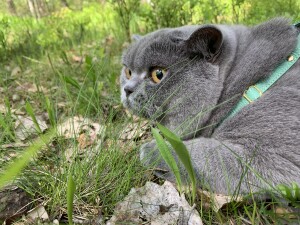 IMG_3246